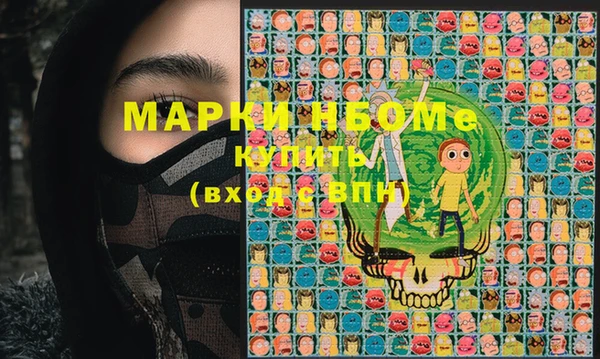 mix Инта