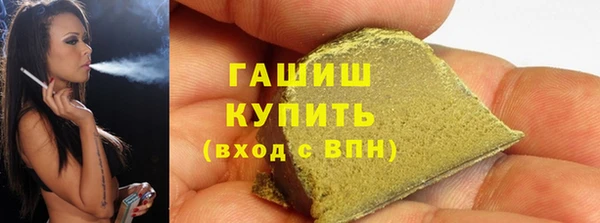 mix Инта