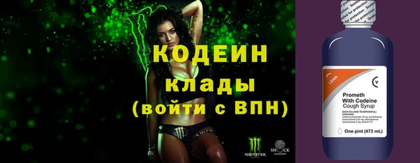 mix Инта