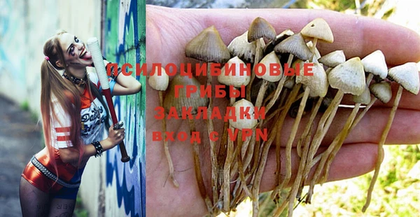 mix Инта