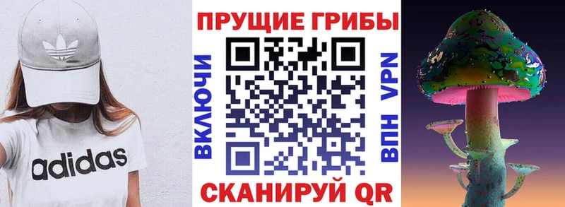Псилоцибиновые грибы Magic Shrooms  купить наркотики цена  Зеленогорск 