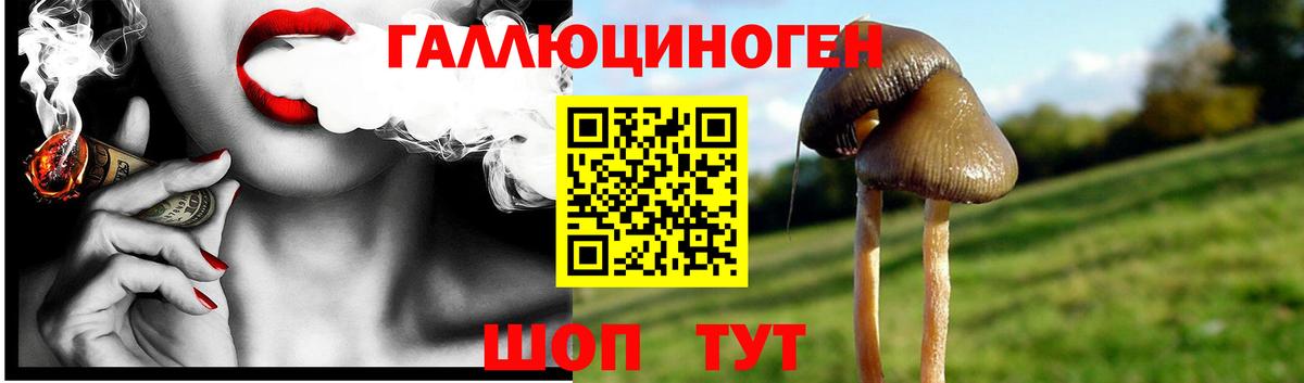 Зеленогорск  Галлюциногенные грибы MAGIC MUSHROOMS  наркота  Вход с VPN 