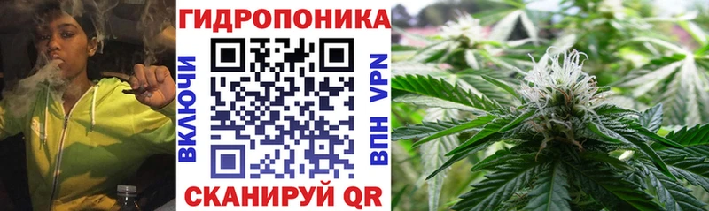 Конопля марихуана  Зеленогорск 