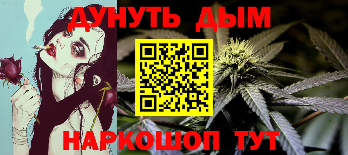Бошки марихуана конопля  Вход с VPN  Зеленогорск  Канабис White Widow  Канабис план 